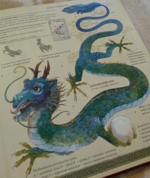 На китайских орнаментах дракон имеет длинное извивающееся змеиное тело, четыре небольших лапы с птичьими когтями, крохотные крылья и голову с ужасающей зубастой пастью и развевающейся гривой