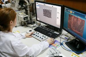 Ученые получают изображения поверхности катализатора на сканирующем электронном микроскопе