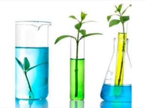 Агромайнинг – использование растительной биомассы для получения различных видов топлива