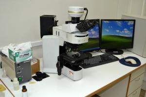 Микроскоп может снимать протяженные по времени эксперименты, делать снимки в заданном режиме