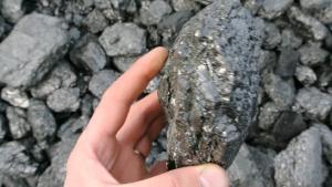 По данным ученых, каменный уголь сам по себе безопасен для экосферы Земли, а его запасов в России хватит на 450 лет