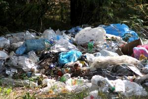 Только один Новосибирск ежегодно «выдает» 3,5 миллиона тонн твердых бытовых отходов