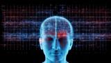 Ученые ИПУ РАН создали модели, которые по мозговой активности определяют личность человека и психофизиологическое состояние