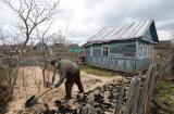 Станут ли российские дачи моделью устойчивого развития?