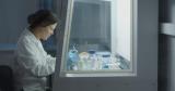 Пять новелл о поиске ответов покажут бесплатно в Новосибирске 30 сентября