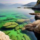 Ученые ИЦиГ открыли новый микроорганизм, обитающий в Черном море