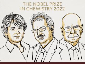 За что дали "Нобеля" по химии
