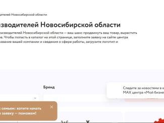 Новосибирские компании вышли в лидеры по числу наукоемких МСП в России
