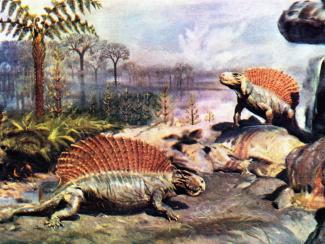 Как палеонтологи переосмыслили облик «ужасных ящеров»