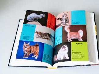 Генетики ИЦиГ СО РАН рассказали в новой книге историю кошек