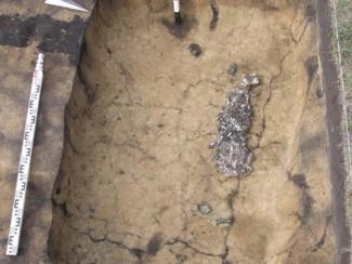 Сотрудники Института археологии и этнографии представили результаты раскопок памятников Усть-Тартас-2 и Тартас-1 