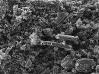 Микрофотография никелевого катализатора на основе углерод-минерального носителя из сапропеля