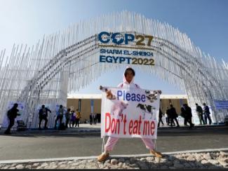 О главном итоге прошедшего саммита ООН COP-27