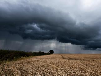Погодные «сюрпризы» вынуждают аграриев прислушиваться к рекомендациям ученых