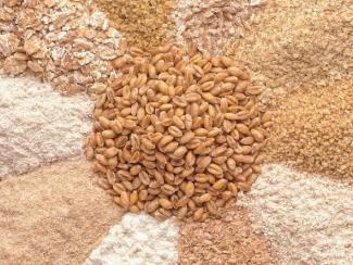 Почему глубокая переработка зерна столь перспективна
