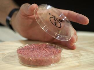 Станет ли искусственное мясо «едой будущего»?