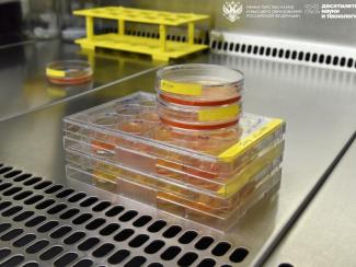 Новый способ оценки эффективности терапии рака предложили ученые