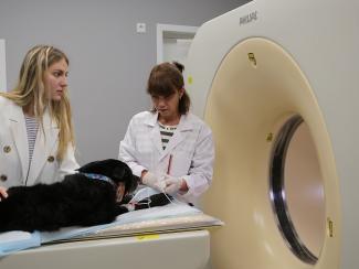 В НГУ открылся томографический центр для исследований на крупных животных