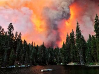 Ученые начинают оценивать вред для здоровья от масштабных лесных пожаров