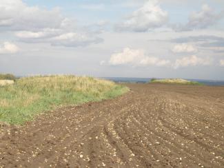 Новосибирские ученые изучают наследие дореволюционной археологии