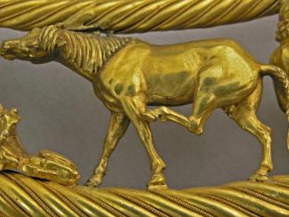Ученые установилии регион одомашнивания предка современной лошади