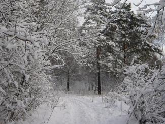 Как названия снега у якутов отражают их образ жизни