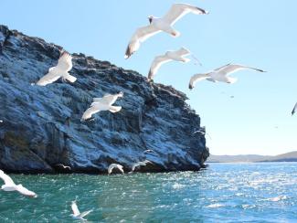 Сибирские участники проекта «Экодом» выстраивают коммуникации с официальными структурами Сибирские участники проекта «Экодом» выстраивают коммуникации с официальными структурами