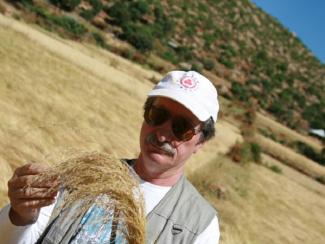 Н.П. Гончаров с собранным образцом тэффа - энднмичного эфиопского злака, которая только в этой стране используется как хлебная культура. Эфиопия, 2012