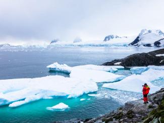 Ископаемые мхи выделяют метан после таяния ледников Антарктики