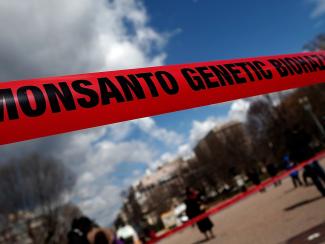 Распространяются слухи о том, будто транснациональная компания «Монсанто» (Monsanto Company) собирается строить семеноводческие предприятия на территории России