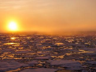 Ученые из ИНГГ СО РАН разрабатывают проект по созданию уникальной дрейфующей станции в Арктике