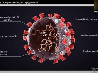 Вирусолог Маргарита Романенко рассказала о вариантах антиковидной вакцины