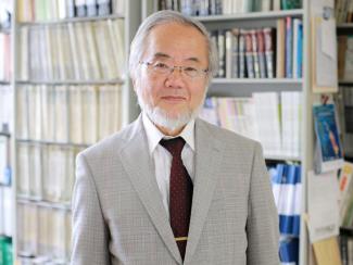 Японский биолог Есинори Осуми удостоен Нобелевской премии по физиологии и медицине за описание процесса аутофагии. Как старение и рак связаны с его открытиями? 
