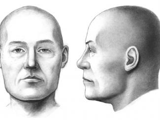 Исследователи из Института проблем освоения Севера СО РАН (Тюмень) сделали графическую реконструкцию лица по черепу мужчины, найденному на святилище городища Большой Лог