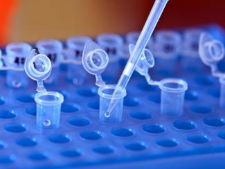 Исследование новосибирских ученых открывает новые возможности для развития клеточной медицины