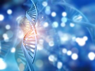 Ученые НИИКЭЛ выявили факторы генетической предрасположенности к развитию миомы матки