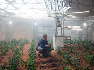 Ученые попытались смоделировать в лаборатории процесс выращивания растений в грунте Марса